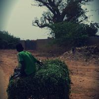 Une petite pause à Keur Ndiaye Lô